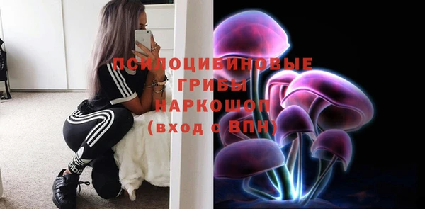 прущая мука Зеленокумск