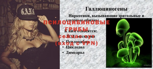 твердый Зерноград
