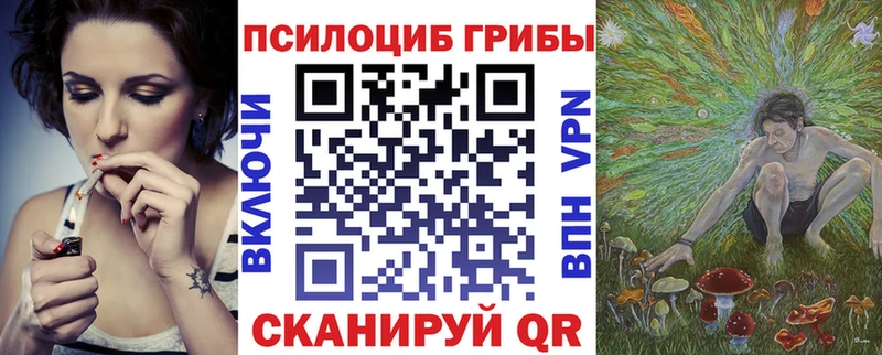 Псилоцибиновые грибы Psilocybine cubensis  Купить где  Демидов 